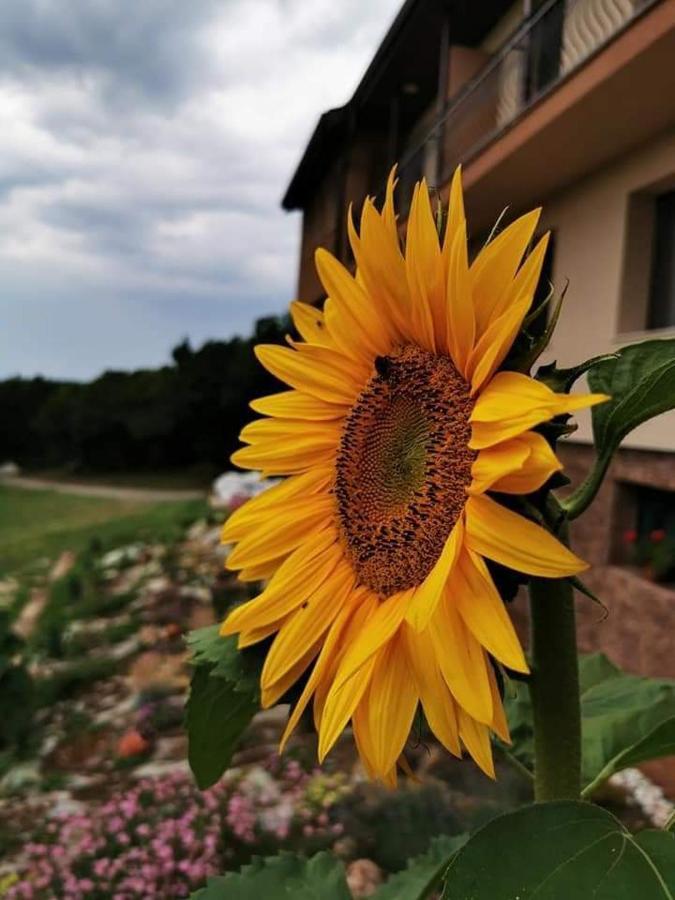 Пиргуля Hotel Miladinovtsi Bagian luar foto